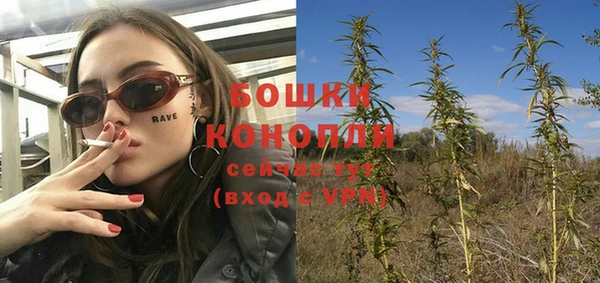 тгк Саяногорск