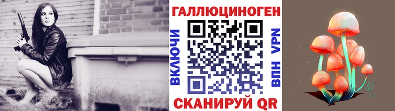 наркота Кольчугино Псилоцибиновые грибы ЛСД