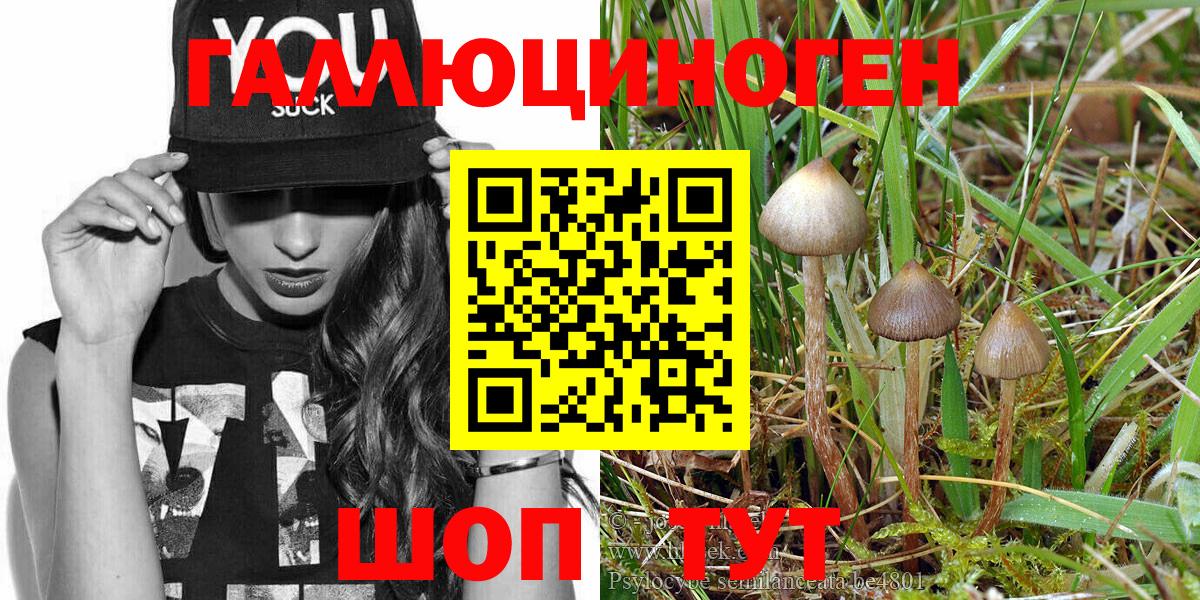 Псилоцибиновые грибы MAGIC MUSHROOMS  Вход с VPN  Кольчугино 